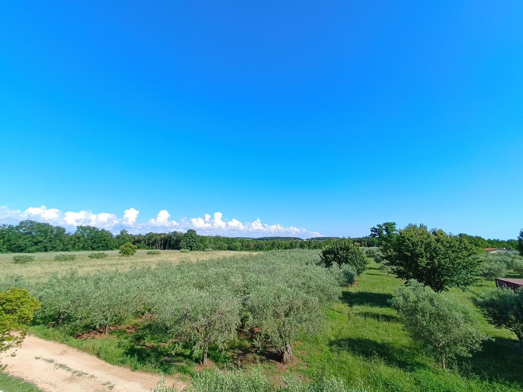 Apartman Ika Umag Extérieur photo
